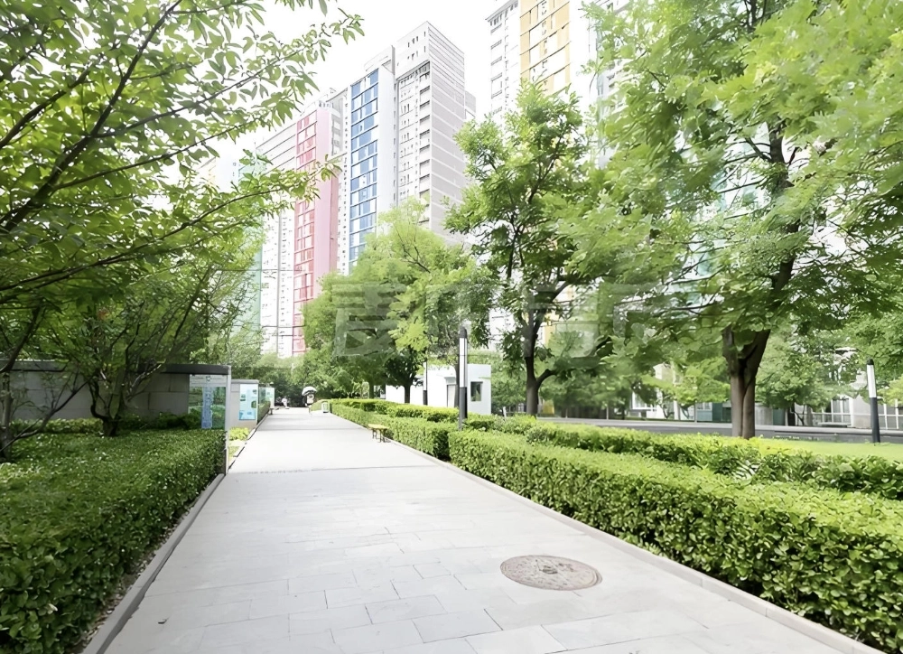 Bao Xing Yuan(6)