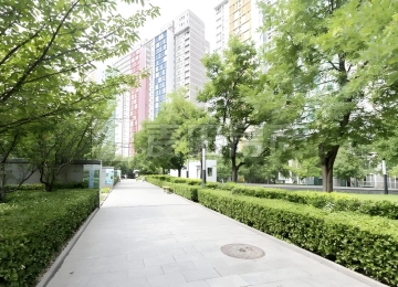 Bao Xing Yuan(6)