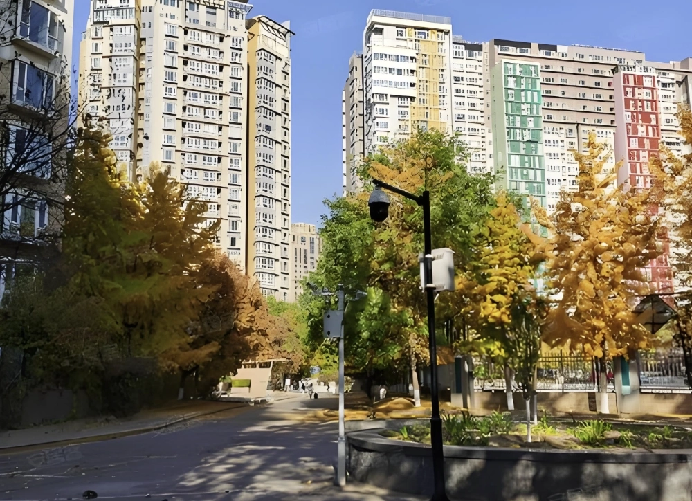 Bao Xing Yuan(7)