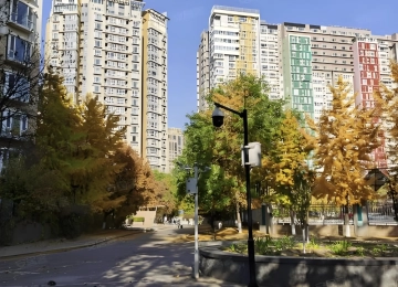 Bao Xing Yuan(7)
