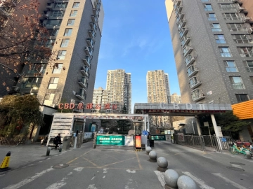 CBD Garden II
