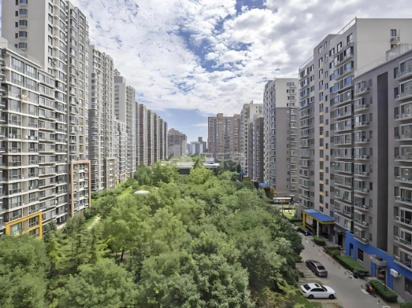CBD Garden II(2)