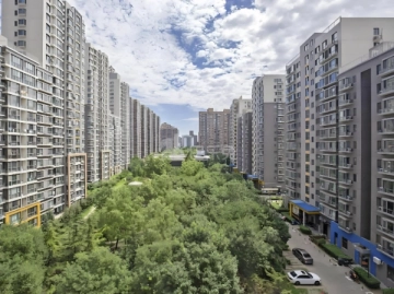 CBD Garden II(2)