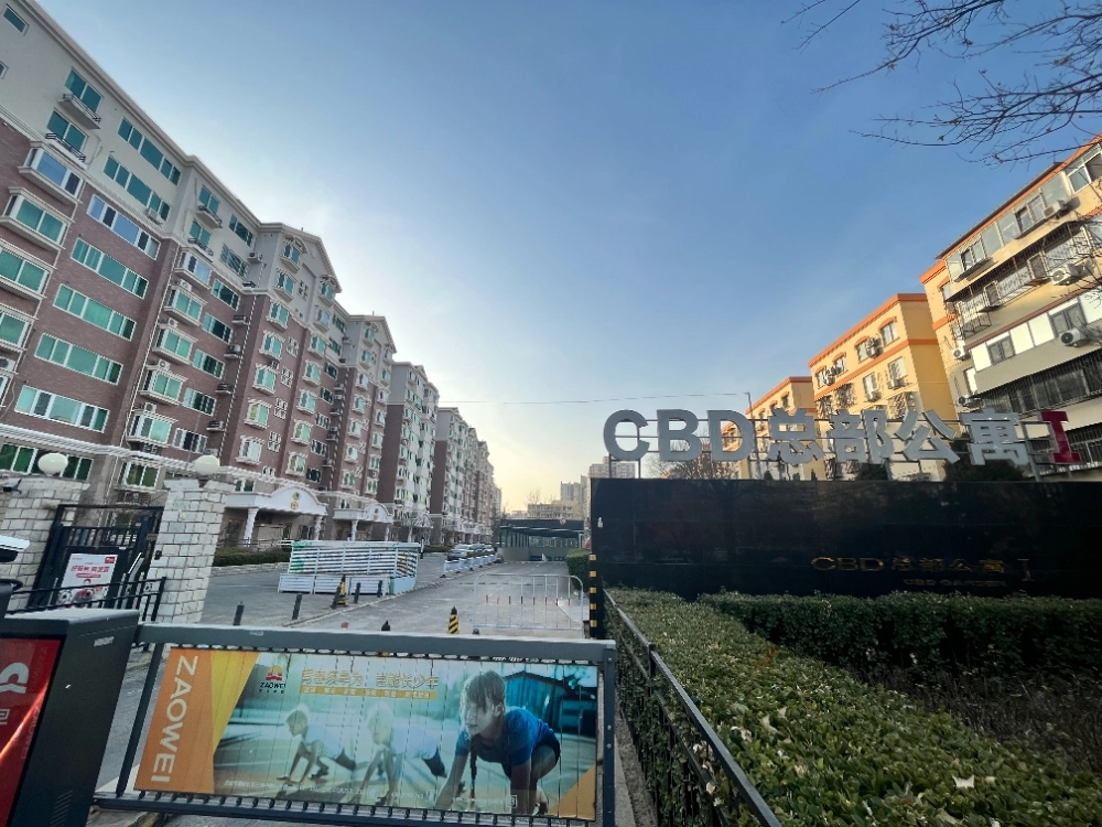 CBD Garden I(3)