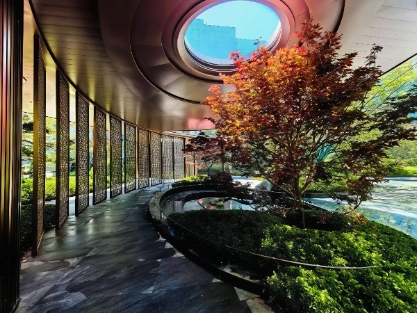 Chang’an Jiu Zhang(4)