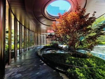 Chang’an Jiu Zhang(4)