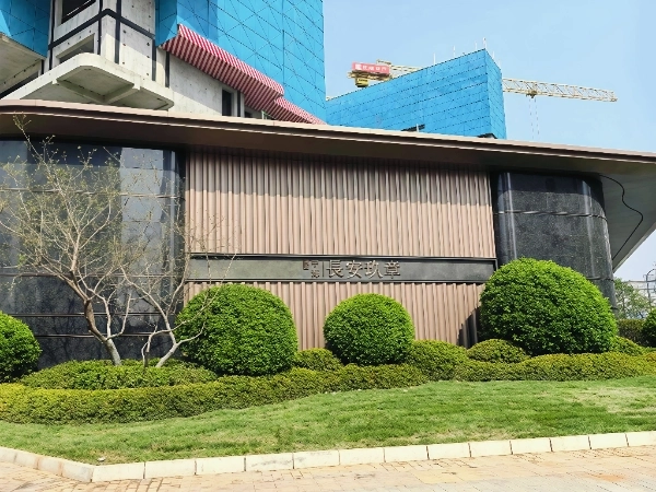 Chang’an Jiu Zhang(5)