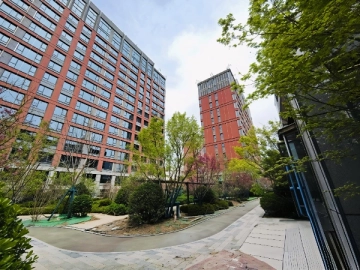 Changan Reputation(2)