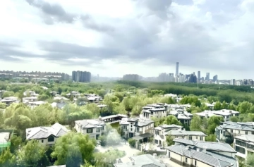 Forest Hills
