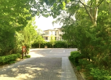 Forest Hills(5)