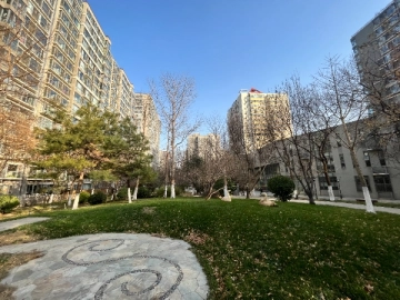 Fuli City D(4)