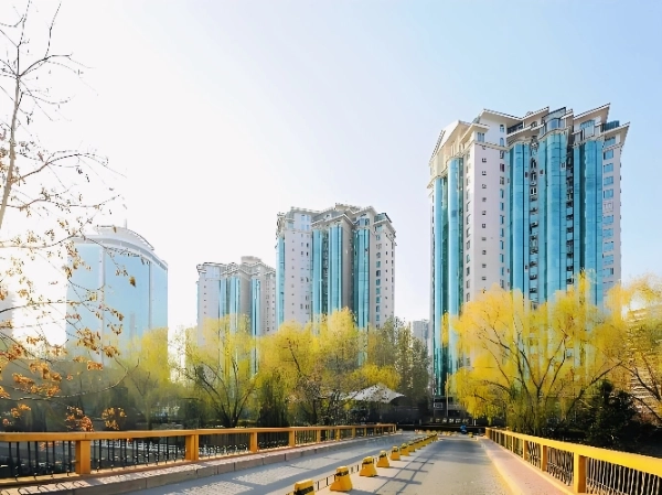 Gold Island Garden(2)