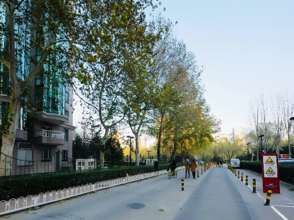 Gold Island Garden(4)