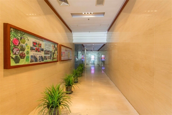 Jinchengjianguo No 5(6)