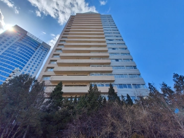 Jiuxian Condominium