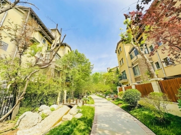 Long For Fantastic(4)