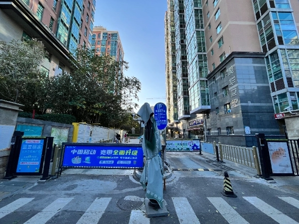 Mei Hua Century(3)