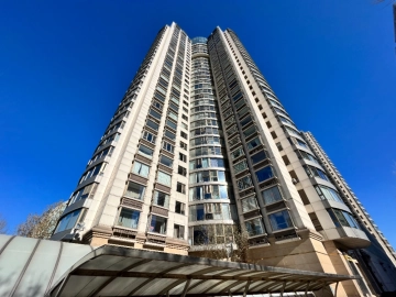 New York Tower(3)