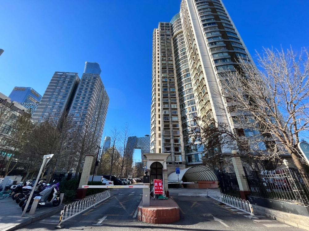 New York Tower(4)