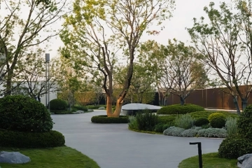 One Sino Residences Lize(3)