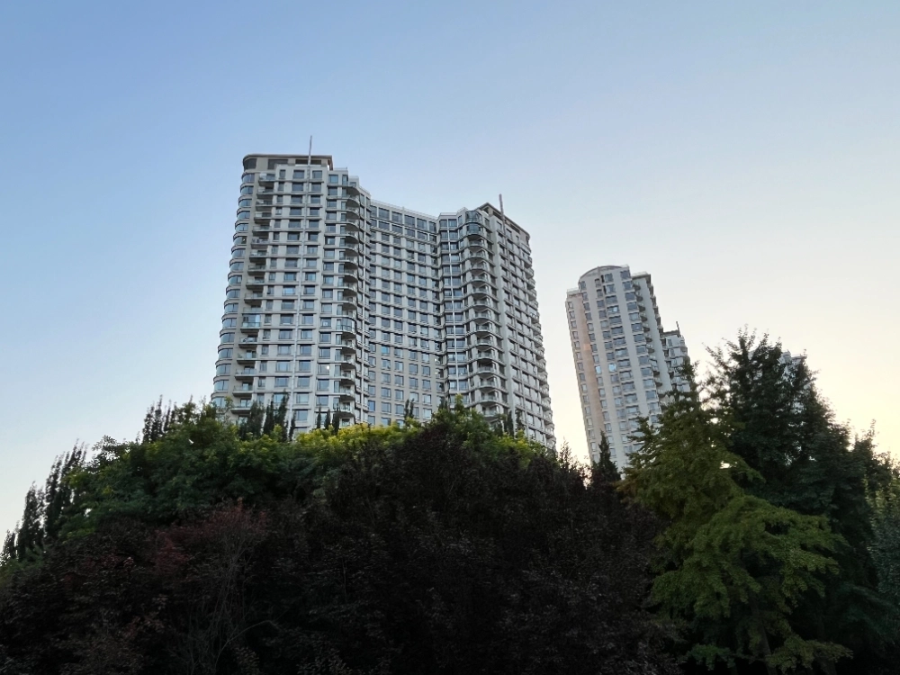 Park Avenue(3)