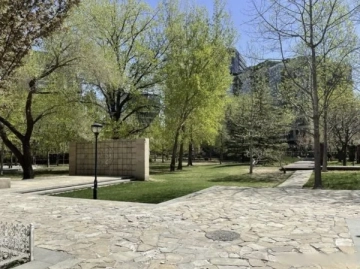 Phoenix Town(9)