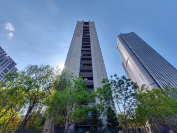 Poly Central Park(5)