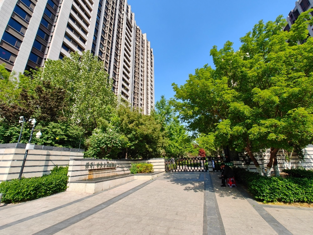 Poly Central Park(6)