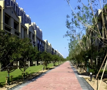 Regency Park(5)