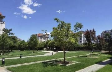 Shun Jing Yuan(5)