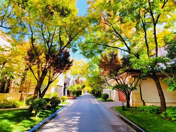 Summer Palace Splendor(4)