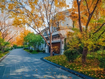 Summer Palace Splendor(5)