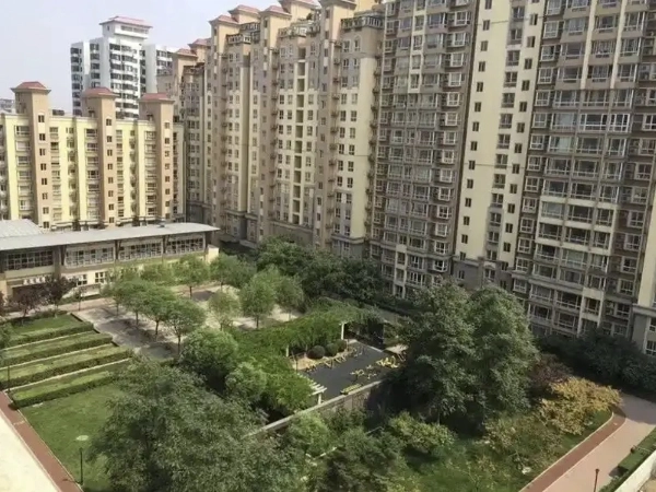 Sunny Scenic View(2)
