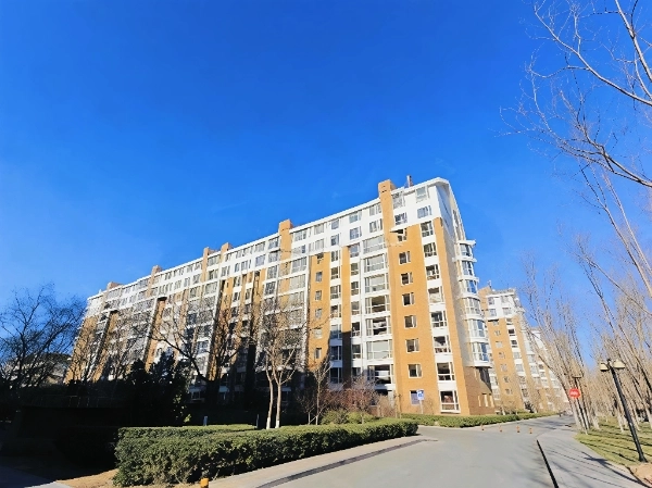 Tang Quan Yi Shu North(2)