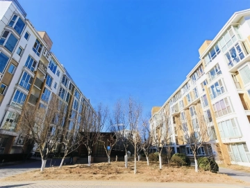 Tang Quan Yi Shu South(2)