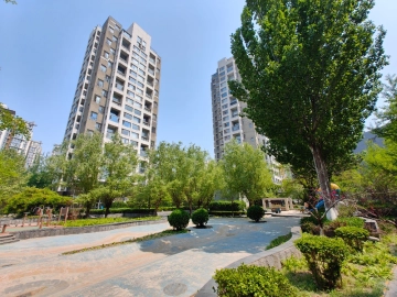 The Terrace(4)