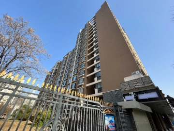 Tian Zhi Jiao Zi(4)