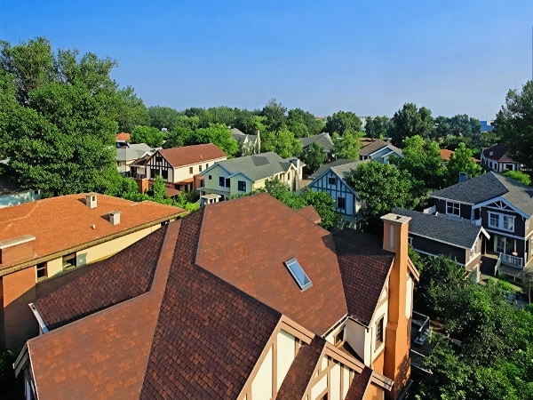 Vancouver Forest South County(7)