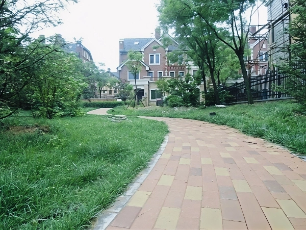 Vancouver Forest South County(9)