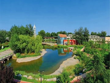 Vancouver Forest South County(10)