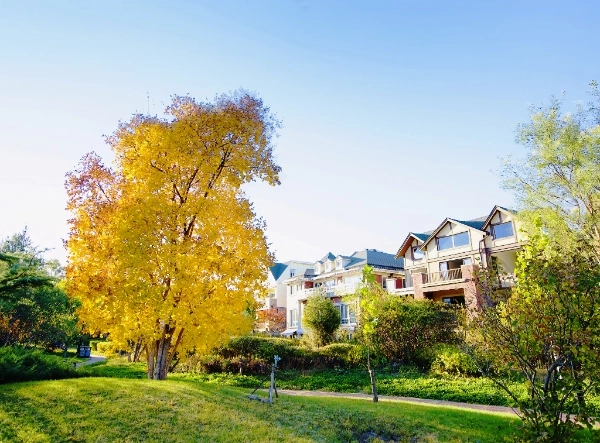 Vancouver Forest West County(6)