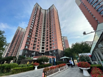 Venus Court