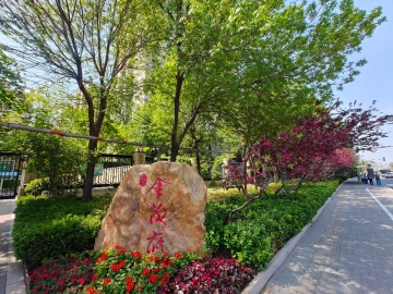 Wangjing Jin Mao Place(2)