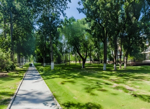 Xinxin Garden Runxue Garden(4)