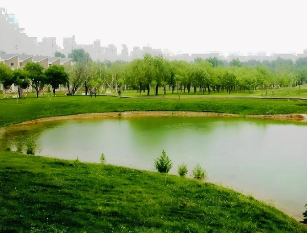 Xinxin Garden Runxue Garden(5)