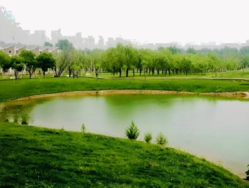 Xinxin Garden Runxue Garden(5)