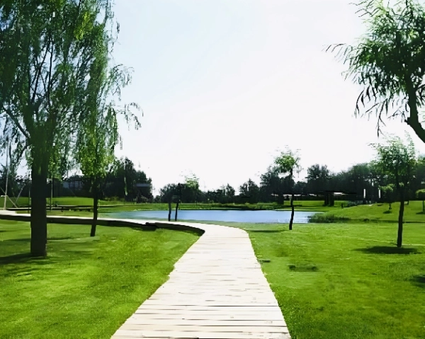 Xinxin Garden Zhuxi Garden(5)