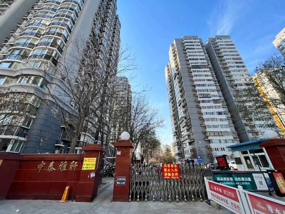 Zhong Tai Ya Xuan(3)