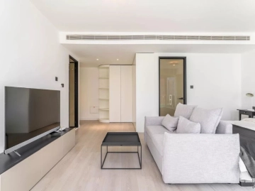 Rm 1103 No 1 China Central Place(4)