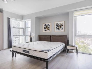 Rm 1501 No 8 China Central Place(6)